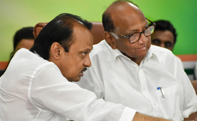 ajit_20pawar_20and_20sharad_20pawar.jpg