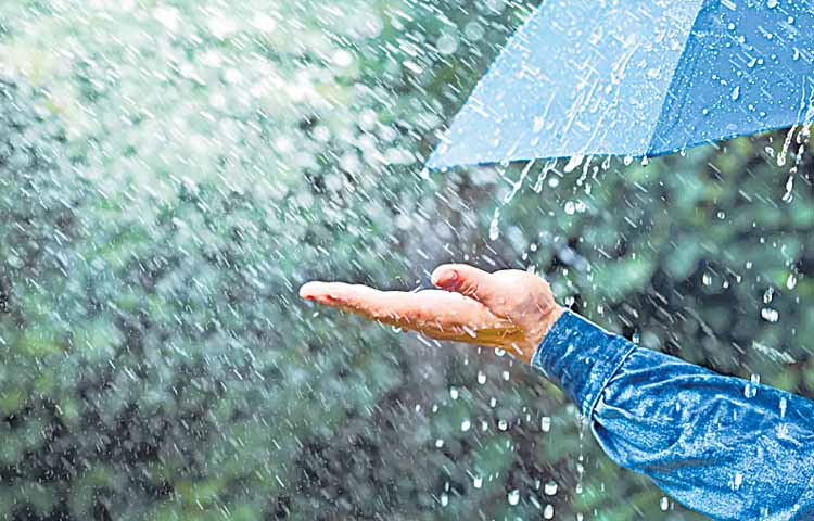 rain.jpg