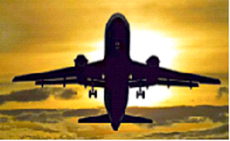 flight.jpg