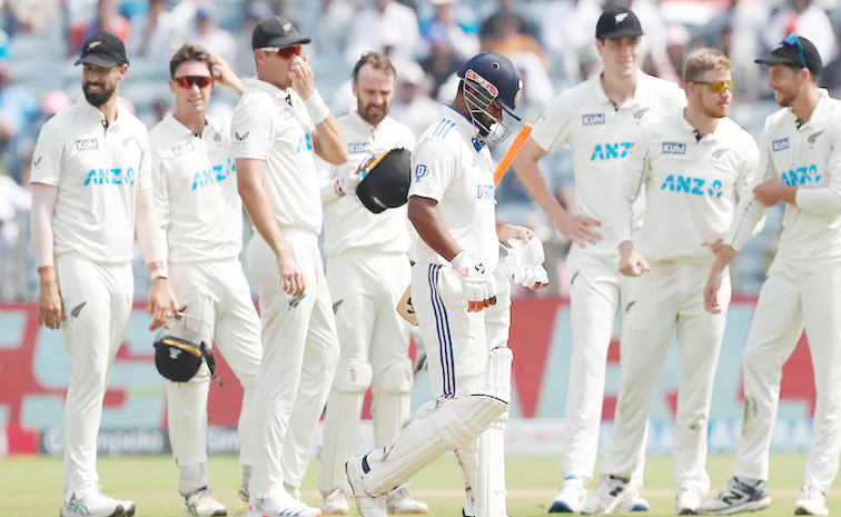 indvsnz.jpg