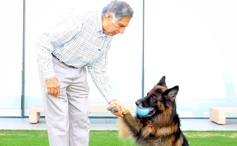 tata.jpg