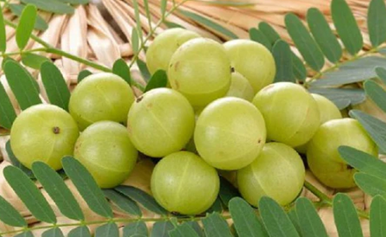 Amla-hair_20and_20skin.jpg