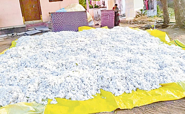 Cotton-price.jpg