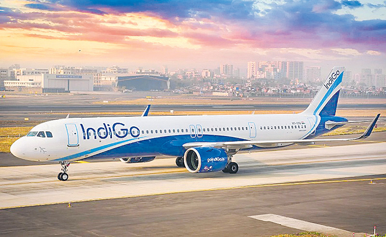 INDIGO.jpg