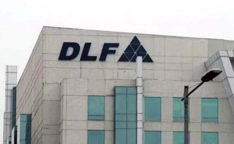 dlf.jpg