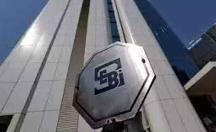 sebi.jpg