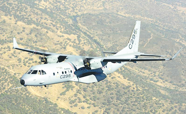 C295.jpg