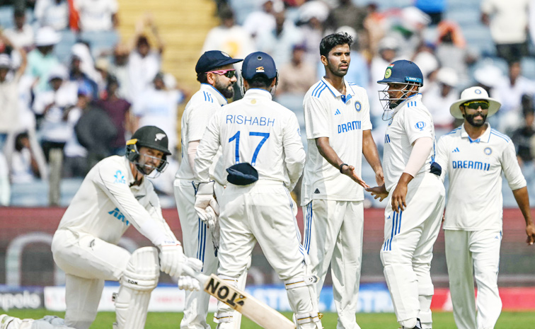 indvsnz.jpg