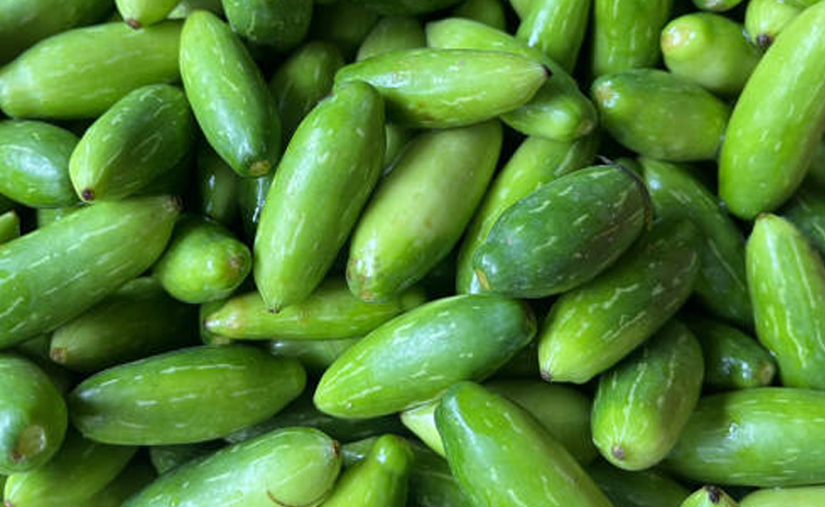 ivygourd_dondakaya.jpg