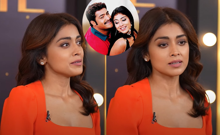 shriya-na-alludu-movies.jpg