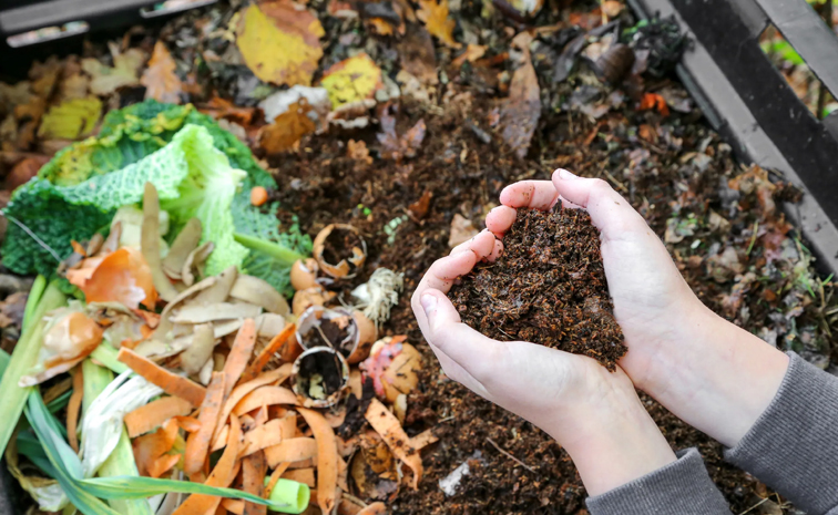 compost.jpg