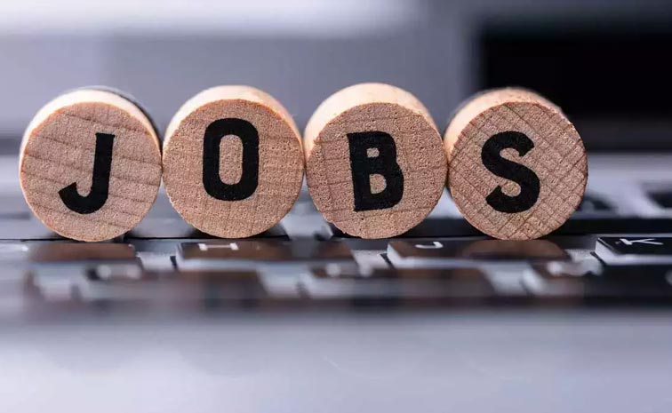 jobs.jpg