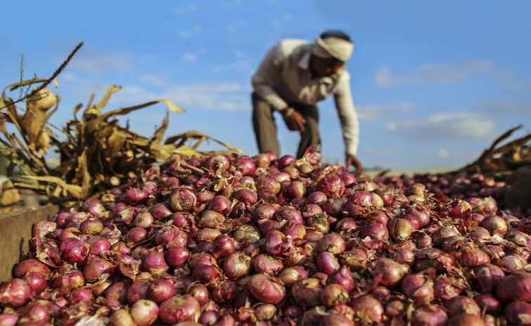 onions.jpg