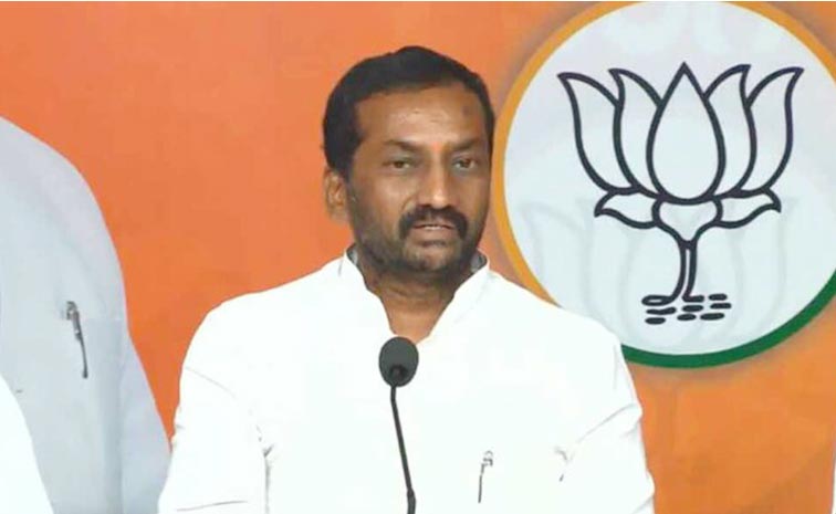 Raghunandhan.jpg