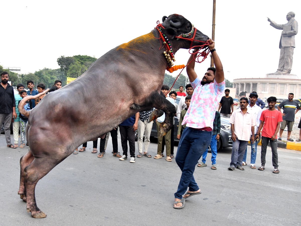 Khairathabad-Sadar_IMax-13.jpg 13