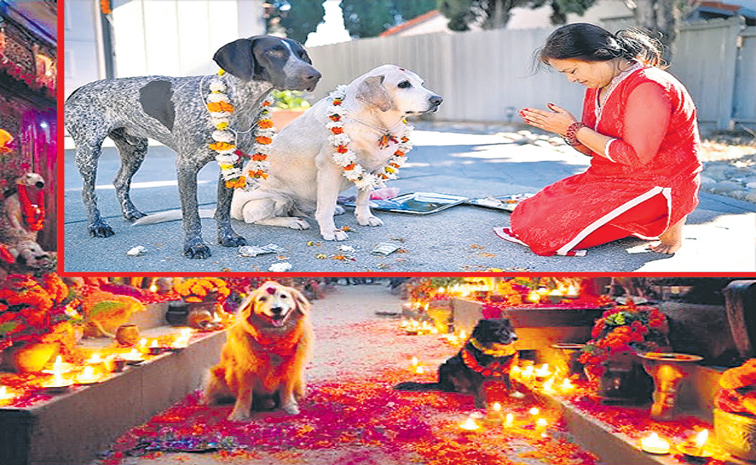 Dog-Festival-Pic-2.jpg