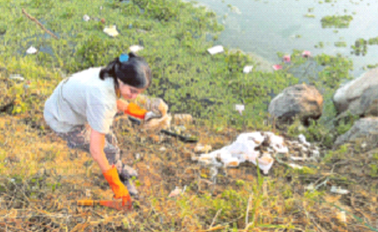 Vishwa-Sustainable-Foundation.jpg