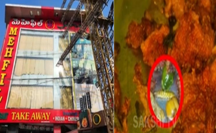 Worms-In-Chicken-Fry-At-Mad.jpg