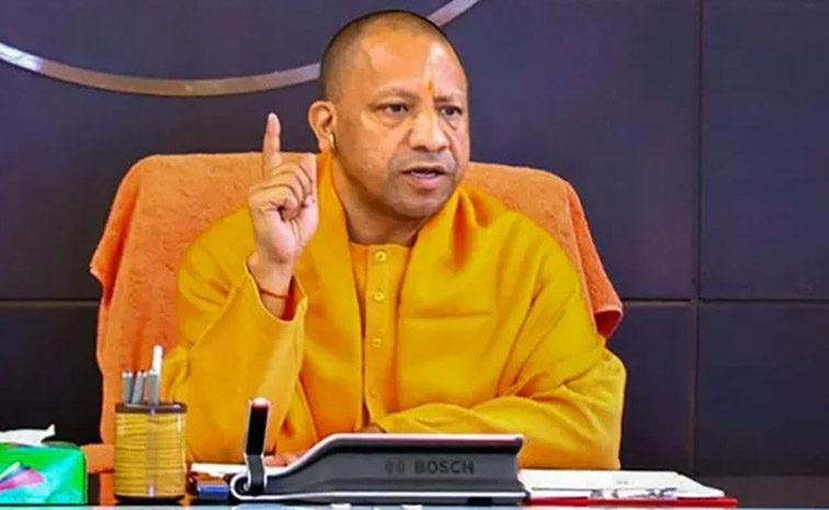 yogi-success-main.jpg