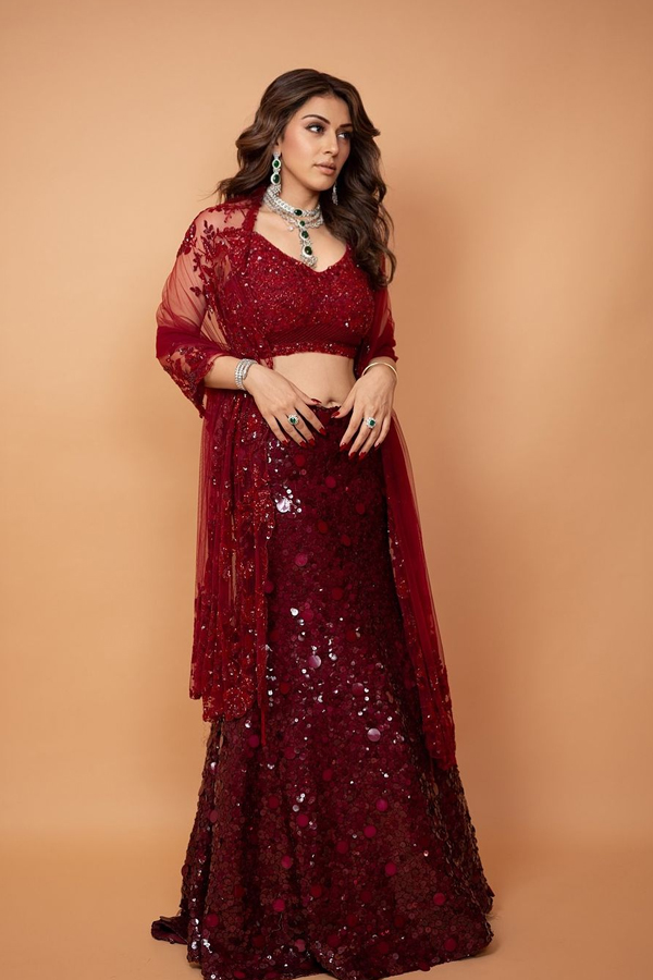 Hansika-Motwani-15.jpg 16