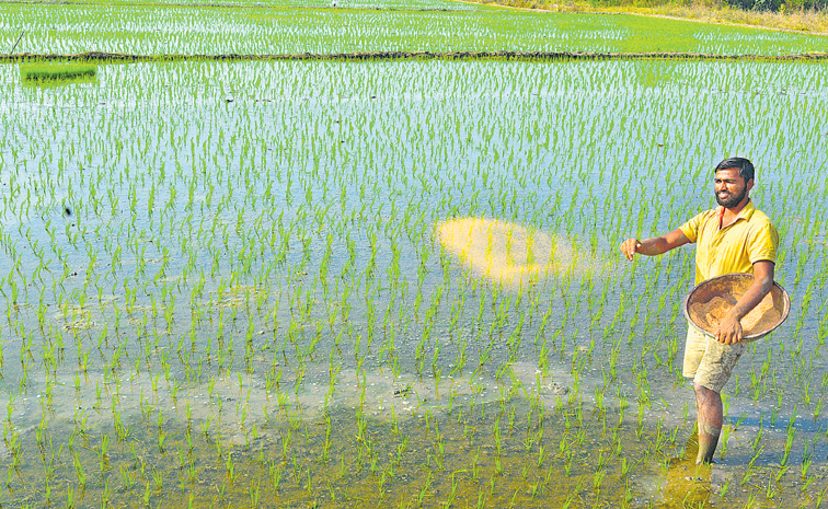 Agriculture-Farmer-Sprinkli.jpg