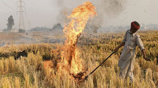 Stubble-Burning.jpg