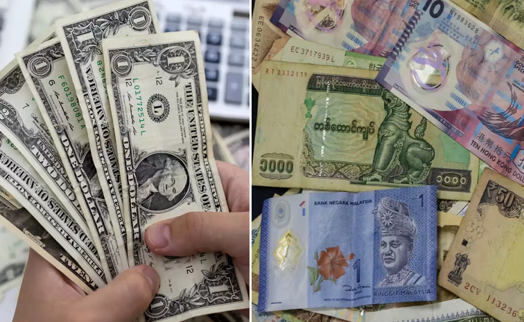 correcy-and-dollar.jpg