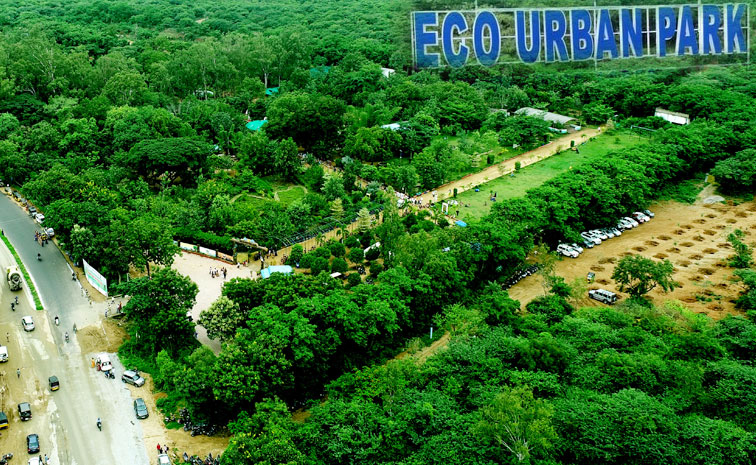 mayuri-eco-urban-park.jpg