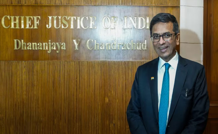 CJI.jpg