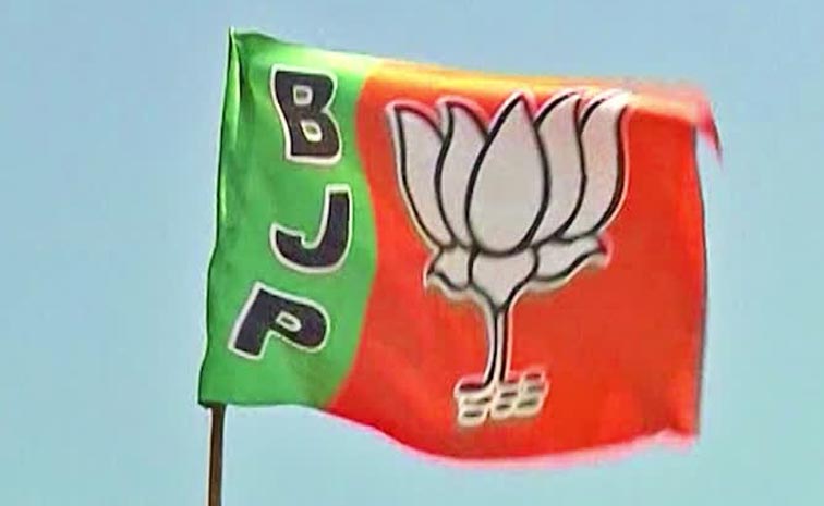 bjp.jpg
