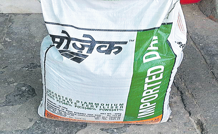 DAP-FERTILIZER.jpg
