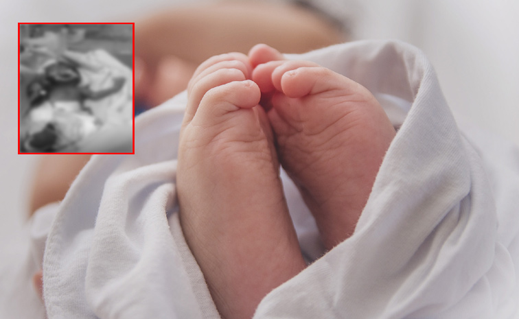 baby1.jpg
