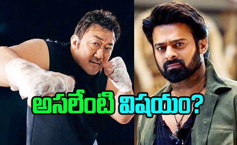 donlee-prabhas-salaar-2_0.jpg
