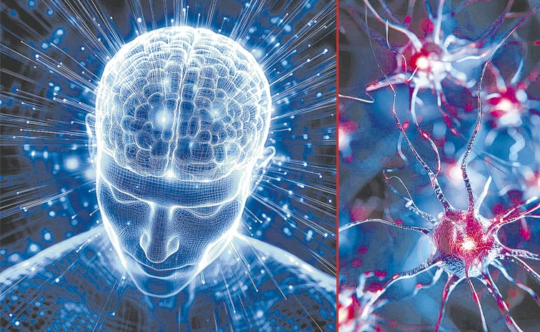 NEURONS.jpg