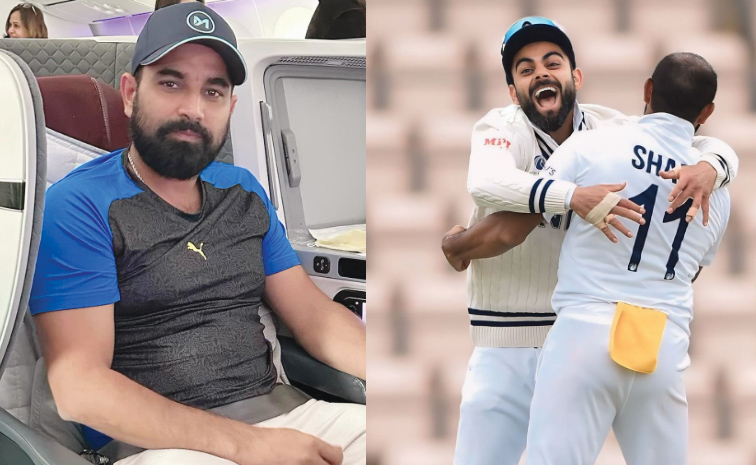 shami33.jpg