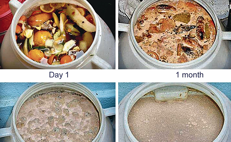 Garbage_20enzyme_0.jpg
