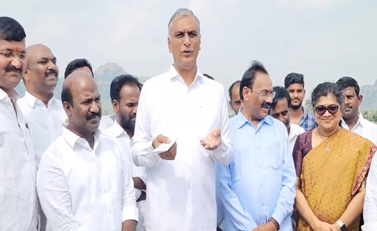 Harish_20Rao.jpg