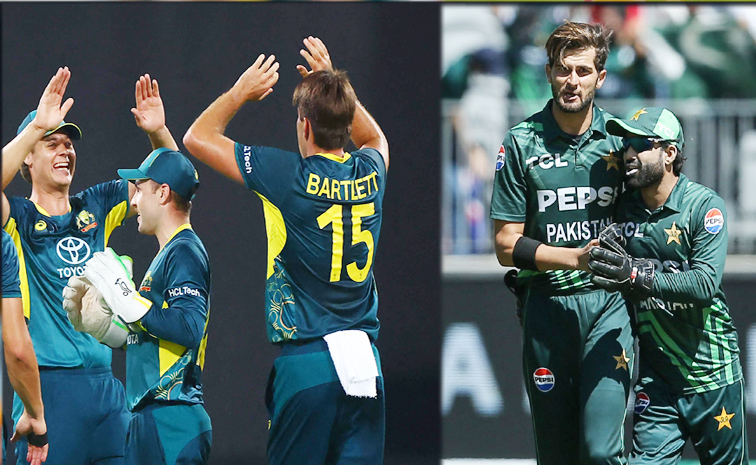 ausvspak.jpg