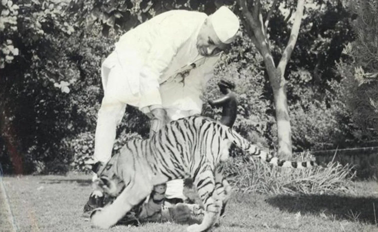 nehru-main.jpg
