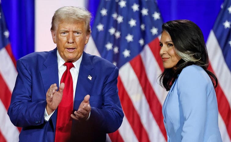 tulsi.jpg