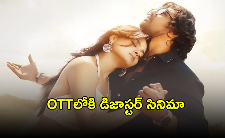 Martin-Movie_OTT-Telugu.jpg