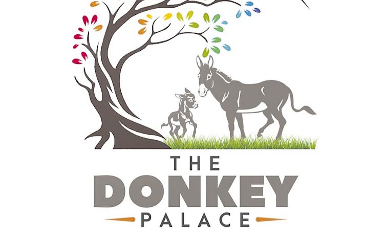 DONKEY-PALACE1.jpg