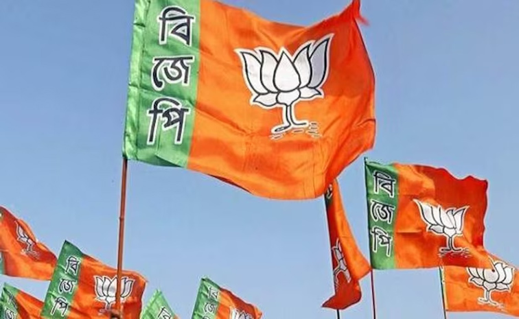 bjp_0.jpg