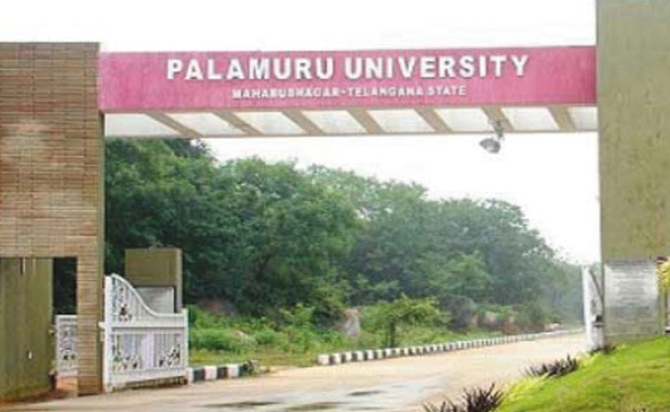 pu.jpg