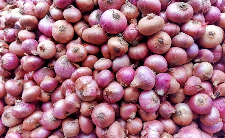 onion.jpg