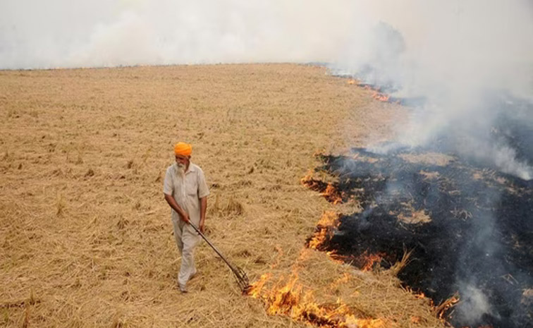 punjab-main.jpg