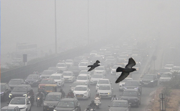delhi-main.jpg
