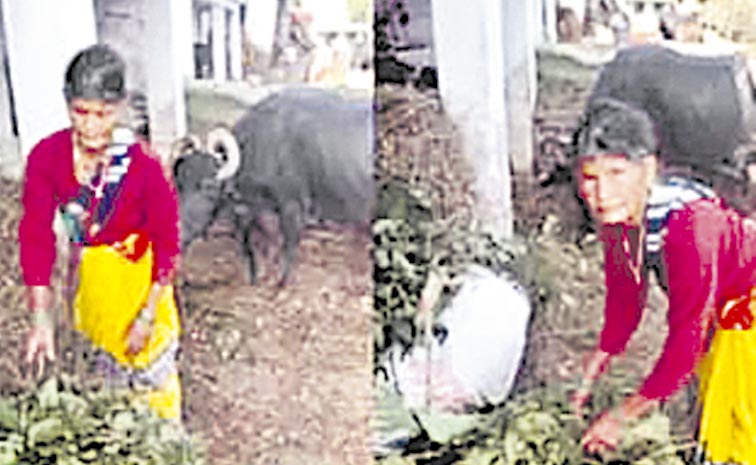 heera-devi-3.jpg