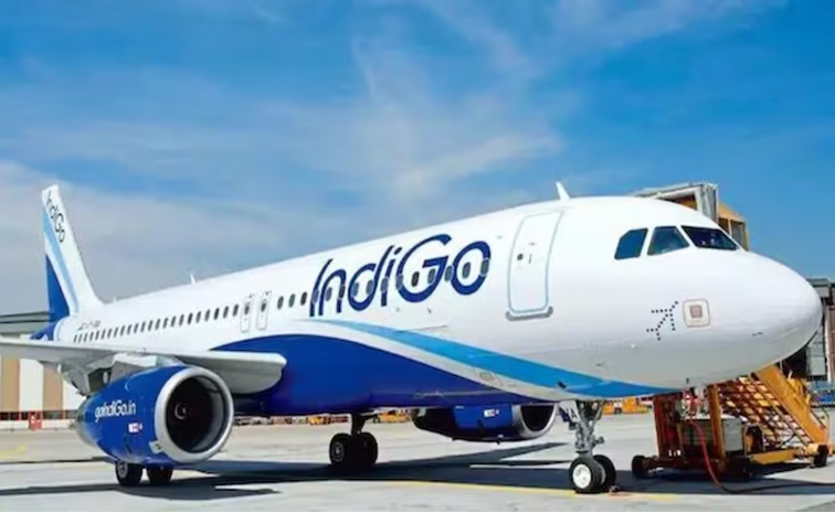 indigo.jpg