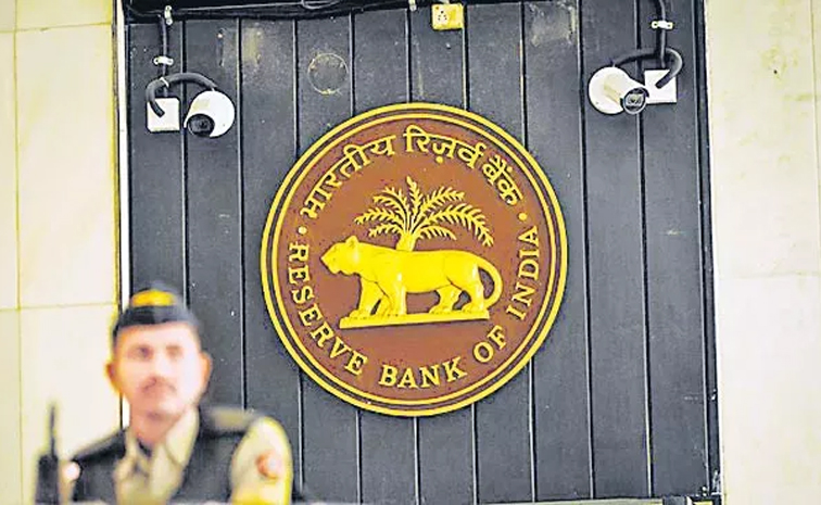 rbi01.jpg